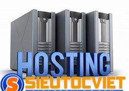 Dịch vụ thuê hosting