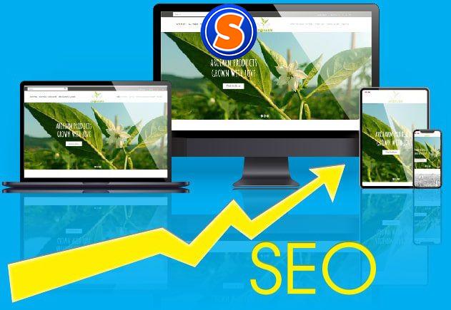 Dịch vụ bề ngoài website chuẩn seo uy tín